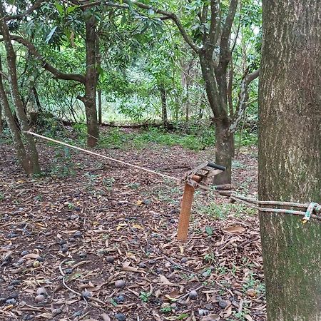 Sitio Encontro Das Aguas Brotas Sao Paulo Dış mekan fotoğraf